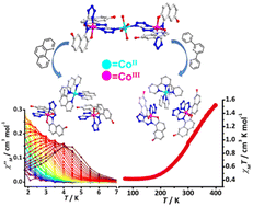 Graphical abstract: Slow magnetic relaxation and spin crossover behavior in two mixed-valence Co(ii)/Co(iii) complexes