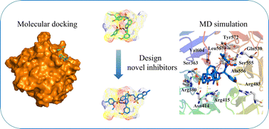 Graphical abstract: Structural investigation of Keap1–Nrf2 protein–protein interaction (PPI) inhibitors for treating myocarditis through molecular simulations
