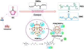 Graphical abstract: Preparation of Keggin-type monosubstituted polyoxometalate ionic liquid catalysts and their application in catalyzing the coupling reaction of ethylene carbonate and dimethyl succinate to synthesize poly(ethylene succinate)