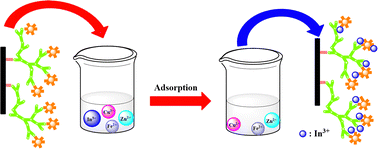 Graphical abstract: Activated carbon fiber modified with hyperbranched polyethylenimine and phytic acid for the effective adsorption and separation of In(iii)