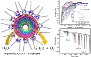 Graphical abstract: An amphiphilic polyoxometalate–CNT nanohybrid as a highly efficient enzyme-free electrocatalyst for H2O2 sensing