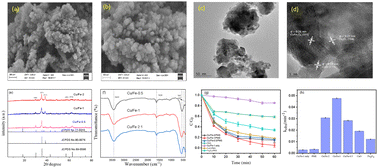 Graphical abstract: Relying on the non-radical degradation of oxytetracycline by peroxymonosulfate activated with a magnetic Cu/Fe composite: performance and mechanism