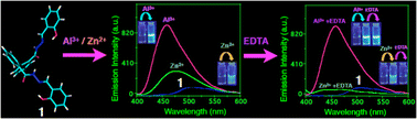 Graphical abstract: Biphenyl-containing amido Schiff base derivative as a turn-on fluorescent chemosensor for Al3+ and Zn2+ ions