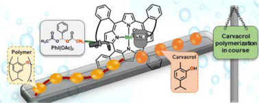 Graphical abstract: The polymerization of carvacrol catalyzed by Mn-porphyrins: obtaining the desired product guided by the choice of solvent, oxidant, and catalyst