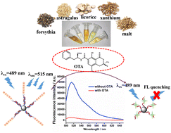 Graphical abstract: Highly sensitive and specific assessment of ochratoxin A in herbal medicines via activator regeneration by electron transfer ATRP