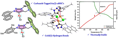 Graphical abstract: Thermally stable carbazole tagged Au(i)–mesoionic N-heterocyclic carbene complexes with diverse gold–hydrogen bonds