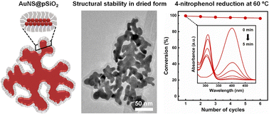 Graphical abstract: Encapsulation of atomically thin gold nanosheets within porous silica for enhanced structural stability and superior catalytic performance
