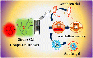 Graphical abstract: A heterochiral diphenylalanine auxin derivative empowers remarkable mechanical integrity with promising Antiinflammatory and Antimicrobial Performances