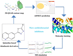 Graphical abstract: Computational study of quinoline-based thiadiazole compounds as potential antileishmanial inhibitors