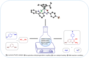 Graphical abstract: New ruthenium(ii) catalysts enable the synthesis of 2-amino-4H-chromenes using primary alcohols via acceptorless dehydrogenative coupling