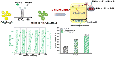 Graphical abstract: α-NiS–β-NiS growth on Cd0.5Zn0.5S formed Schottky heterojunctions for enhanced photocatalytic hydrogen production