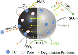 Graphical abstract: Degradation of tetracycline by persulfate oxidation promoted by iron-modified biochar