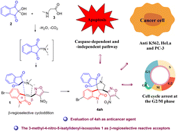 Graphical abstract: Regio- and stereoselective synthesis and evaluation of densely functionalized bispiro[oxindole-isoxazole-indandione] hybrids as anticancer agents