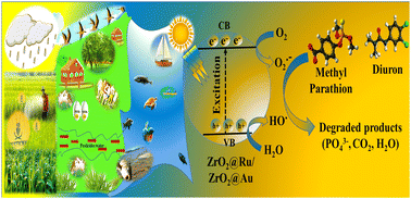 Graphical abstract: Photocatalytic degradation-based efficient elimination of pesticides using ruthenium/gold metal nanoparticle-anchored zirconium dioxide