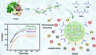 Graphical abstract: A high-performance polymer hydrogel derived from konjac flying powder for removal of heavy metals