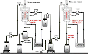 Graphical abstract: Continuous biodiesel production from acidic oil using a combination of acidic and alkaline composite catalytic membranes in flow-through membrane reactors