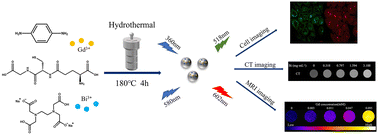 Graphical abstract: Bismuth- and gadolinium-codoped carbon quantum dots with red/green dual emission for fluorescence/CT/T1-MRI mode imaging