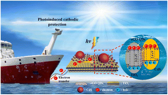 Graphical abstract: A CdS/rGO QDs/TiO2 nanolawn photoanode co-decorated with reduced graphene oxide quantum dots and CdS nanoparticles with photoinduced cathodic protection characteristics of 316L SS and Cu