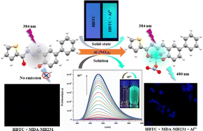 Graphical abstract: A new “turn-on” molecular switch for idiosyncratic detection of Al3+ ion along with its application in live cell imaging