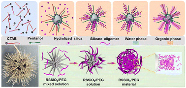 Graphical abstract: Leak-free and shape-stabilized phase change composites with radial spherical SiO2 scaffolds for thermal management