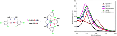 Graphical abstract: A new mononuclear Fe(iii) Mannich-base complex with selective histidine binding and catechol oxidase activity