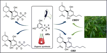Graphical abstract: Short and efficient synthesis of alkylresorcinols: a route for the preparation of cannabinoids
