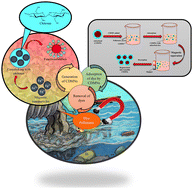 Graphical abstract: Recent progress, synthesis, and application of chitosan-decorated magnetic nanocomposites in remediation of dye-laden wastewaters