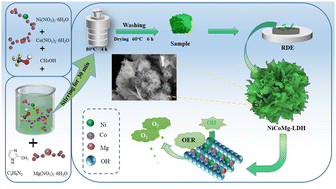 Graphical abstract: High catalytic performance of nano-flowered Mg-doped NiCo layered double hydroxides for the oxygen evolution reaction