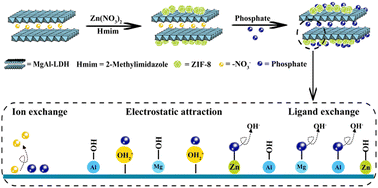 Graphical abstract: Synthesis of MgAl-LDH@ZIF-8 composites by in situ growth method for highly efficient phosphate removal