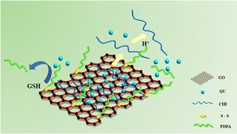 Graphical abstract: Dual-sensitive GO-based self-assembly for the delivery of a hydrophobic anti-cancer drug