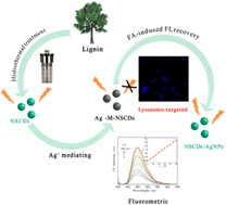 Graphical abstract: A novel signal-on fluorometric sensor based on metal ion-mediated carbon dots for formaldehyde determination and lysosome-targeted bioimaging