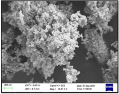 Graphical abstract: Evaluation of the antimicrobial potential of cerium-based perovskite (CeCuO3) synthesized by a hydrothermal method