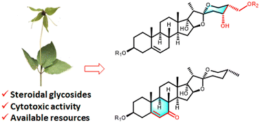 Graphical abstract: Steroidal saponins with cytotoxic activity from the stems and leaves of Paris fargesii