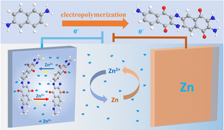 Graphical abstract: Electropolymerization reaction-driven 2,6-naphthalenediamine monomers to a multilayered sheet structure for ultralong cycling aqueous zinc-ion batteries