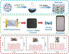 Graphical abstract: A robust and sensitive flexible strain sensor based on polyurethane cross-linked composite hydrogels for the detection of human motion