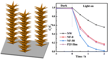 Graphical abstract: Modulation of titania nanoflower arrays transformed from titanate nanowire arrays to boost photocatalytic Cr(vi) detoxification