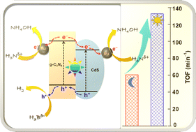 Graphical abstract: Visible-light-enhanced hydrogen evolution from catalytic hydrolysis of ammonia borane using Ru nanoparticles supported on CdS-modified graphitic carbon nitride