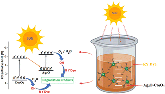 Graphical abstract: Synthesis of a visible-light-driven Ag2O–Co3O4 Z-scheme photocatalyst for enhanced photodegradation of a reactive yellow dye