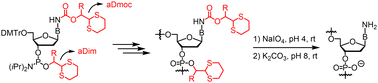 Graphical abstract: Oligonucleotide synthesis under mild deprotection conditions