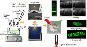 Graphical abstract: Synthesis of NaYF4:Ho3+/Yb3+ colloidal upconversion phosphor and its application for OCT-based imaging, temperature sensing, fingerprinting and security ink