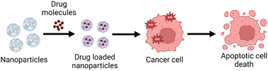 Graphical abstract: High potency EDC-crosslinked bovine serum albumin nanoencapsulation of berberine enhances in vitro anticancer efficacy against glioblastoma by inducing ROS mediated cell apoptosis