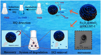 Graphical abstract: Synthesis of dual function Fe3O4@MnO2@HKUST-1 magnetic micromotors for efficient colorimetric detection and degradation of hydroquinone