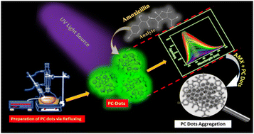 Graphical abstract: The rapid synthesis of intrinsic green-fluorescent poly(pyrogallol)-derived carbon dots for amoxicillin drug sensing in clinical samples