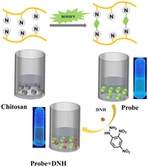 Graphical abstract: Chitosan-bodipy macromolecular fluorescent probes prepared by click reactions for highly sensitive and selective recognition of 2,4-dinitrophenylhydrazine