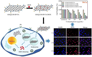 Graphical abstract: Linear maltodextrin polymer–folic acid modified graphene oxide nanoparticles for targeted delivery and pH/photothermal sensitive release of hydrophobic anticancer drugs in tumor cells