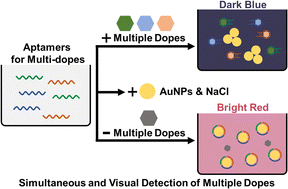 Graphical abstract: Simultaneous and visual detection of multiple dopes by an aptamer/AuNPs sensor