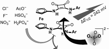 Graphical abstract: Bis[squaramido]ferrocenes as electrochemical sulfate receptors