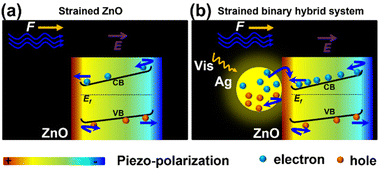 Graphical abstract: Design of a piezo-photocatalytic system using both fluid and visible light as driving energy