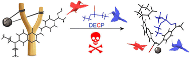 Graphical abstract: Killing two birds with one stone: phosphorylation by a tabun mimic and subsequent capture of cyanide using a single fluorescent chemodosimeter