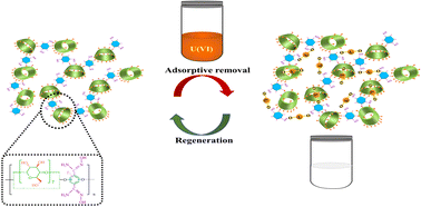 Graphical abstract: Adsorptive removal of uranium(vi) from wastewater using a crosslinked amidoxime-functionalized β-cyclodextrin polymer